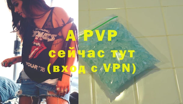 ПСИЛОЦИБИНОВЫЕ ГРИБЫ Краснотурьинск