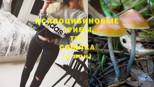 винт Красноперекопск