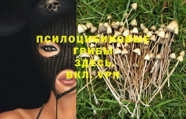 ПСИЛОЦИБИНОВЫЕ ГРИБЫ Краснотурьинск