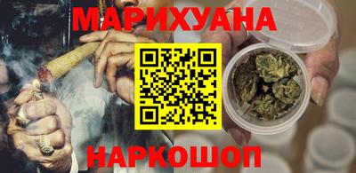 СК Гатчина
