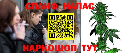 СК Гатчина