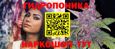 скорость Гай