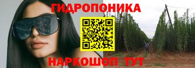 скорость Гай