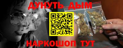 СК Гатчина