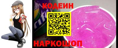 СК Гатчина