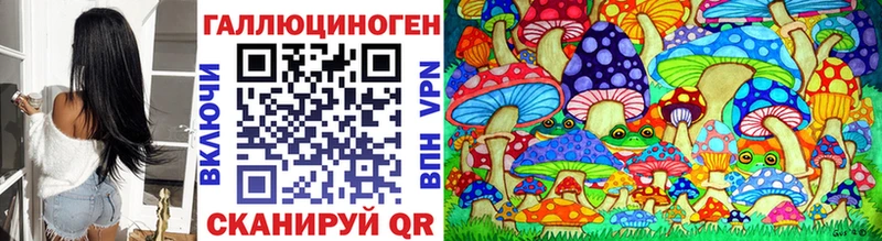 Псилоцибиновые грибы Cubensis Барнаул