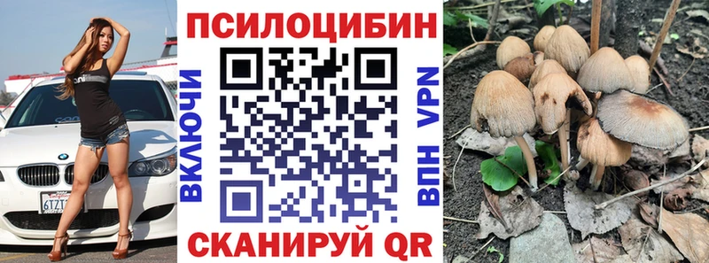 Галлюциногенные грибы Psilocybe  Барнаул 