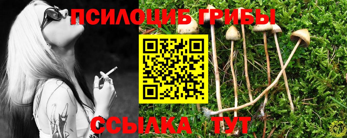 Галлюциногенные грибы Cubensis  Вход с VPN  Барнаул 